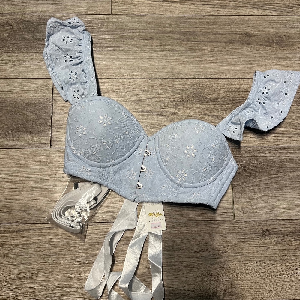 Daisy Corsets pastel blue bustier top